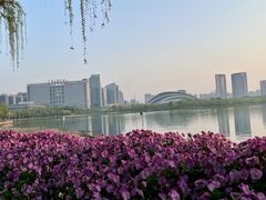 -天鹅湖体育公园