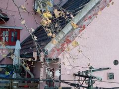 窗外景色-蝶舍·MAISON PAPILLON