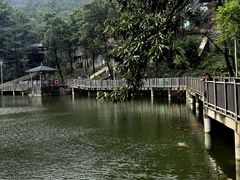 -沂蒙山旅游区云蒙景区(蒙山国家森林公园)