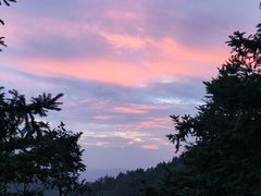 -长沙黑麋峰国家森林公园
