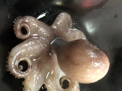 -丽江庭院·云南野生菌·海鲜火锅(鼓楼四合院店)