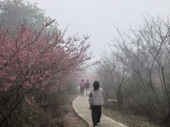 -瑞安圣井山景区