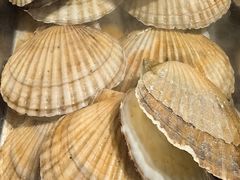 -KAOKAO烤烤·丹东海鲜烧烤(望京店)