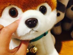 -傣妹火锅(狮子桥店)