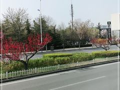 -大兴滨河森林公园