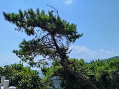 -鼎湖山风景区