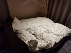 -苏州金鸡湖文博诺富特酒店