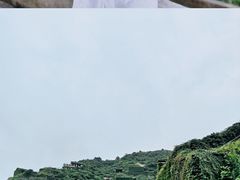 -枸杞岛