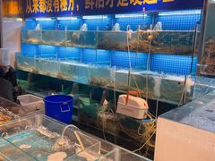 -九月海·海鲜自助(世纪东方店)