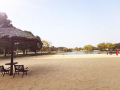 -上海佘山世茂艾美酒店