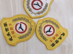 -武术世家少儿培训中心(首都体育学院店)