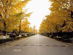 -四川大学(望江校区)
