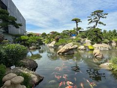 -罗红摄影艺术馆