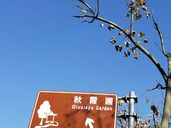 -秋霞圃