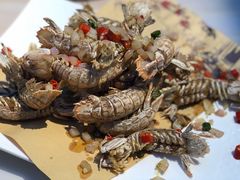 -恋海·蒸汽海鲜餐厅