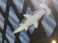 -南昌融创海世界