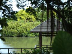 -大湾区中央湿地公园