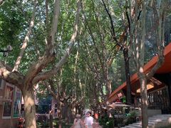 -西安电影制片厂