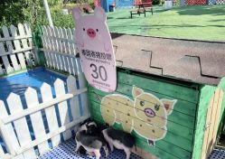 -萌宠亲子动物乐园(槐房万达店)