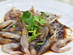 -苏启渔港(云南北路店)