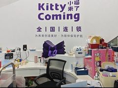 -小猫来了·猫咪专售(红山六九七九店)