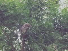 -费瑟代尔野生动物园