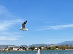-大理洱海