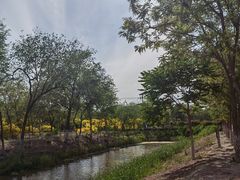 -西青郊野公园