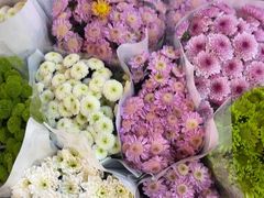 -循礼门鲜花花市(武汉循礼门店)