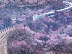 -居庸关长城