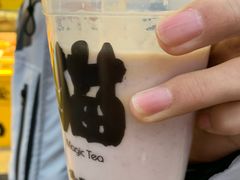 -猫的魔法密林(衣裳街店)