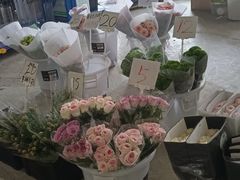 -三圣花乡旅游区