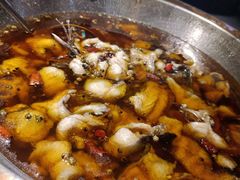 金牌水煮鮰鱼-雲蜀龙阁·金牌水煮鱼(方庄店)