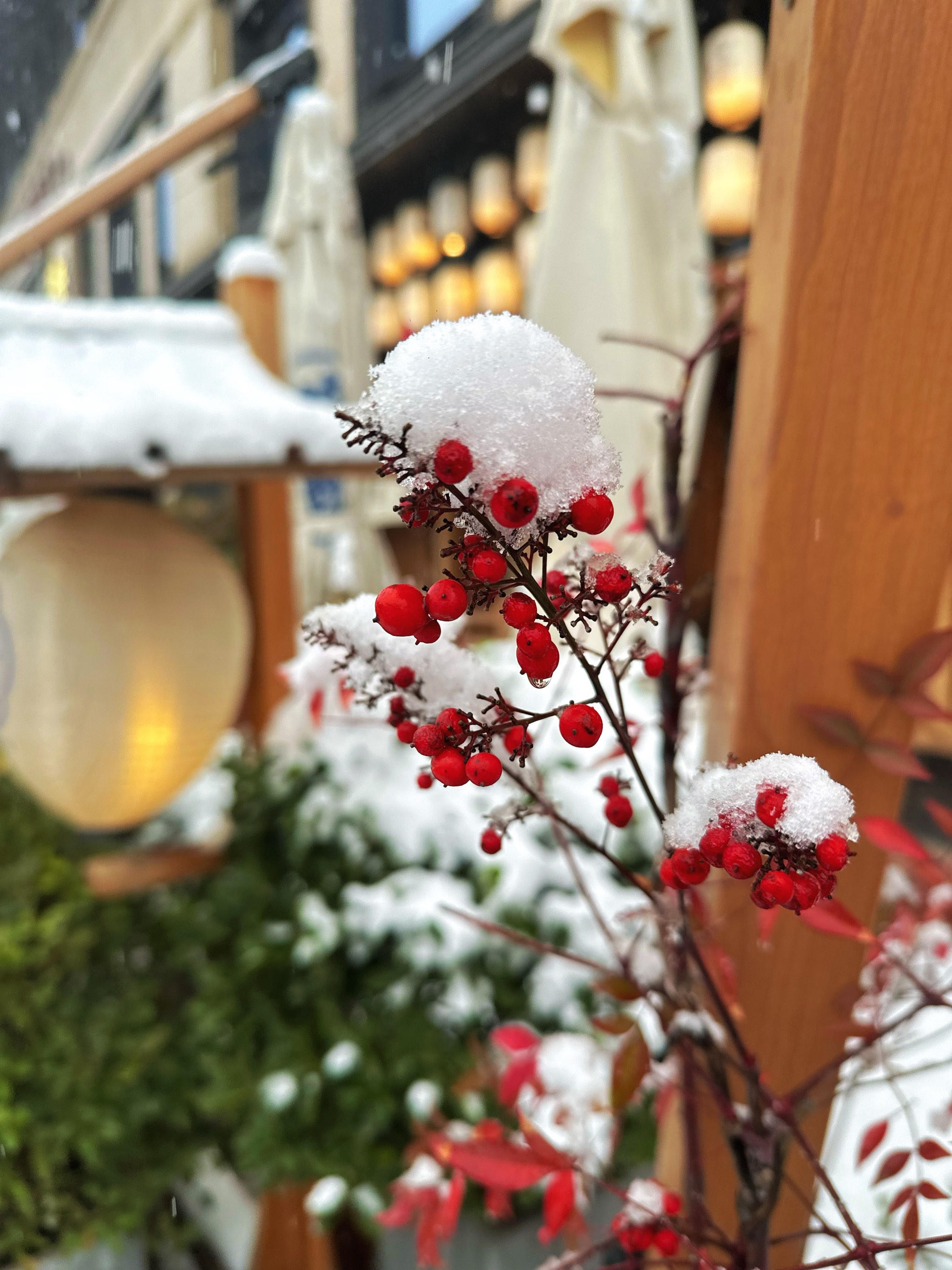 最美的景色雪景图片