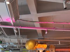 -燃无界格斗·拳击搏击体能馆(优品道店)