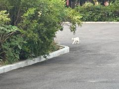 -大钟寺古钟博物馆