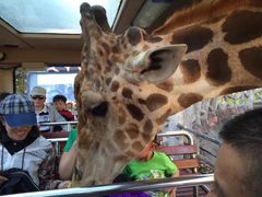 -清迈夜间动物园