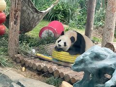 -大连森林动物园