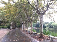 -泰州凤城河风景区-泰山公园