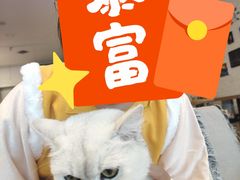 -平行世界·猫咖(首经贸店)