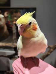 -Zoolung Zoolung动物主题公园(海信广场店)