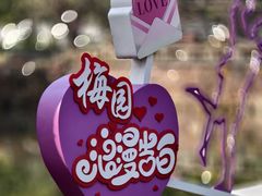 -无锡梅园公园