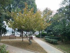 android_upload_pic-喷泉公园
