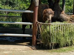 -常州淹城野生动物世界