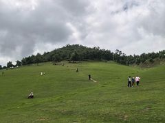 -关山草原
