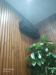 -红人馆造型世爵国际