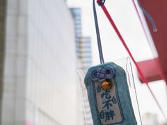 -金茂览秀城
