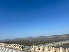 -南汇嘴观海公园