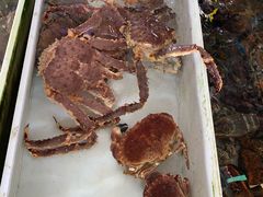 -南沙十九涌渔人码头-南门