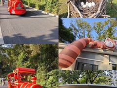 -云溪植物园
